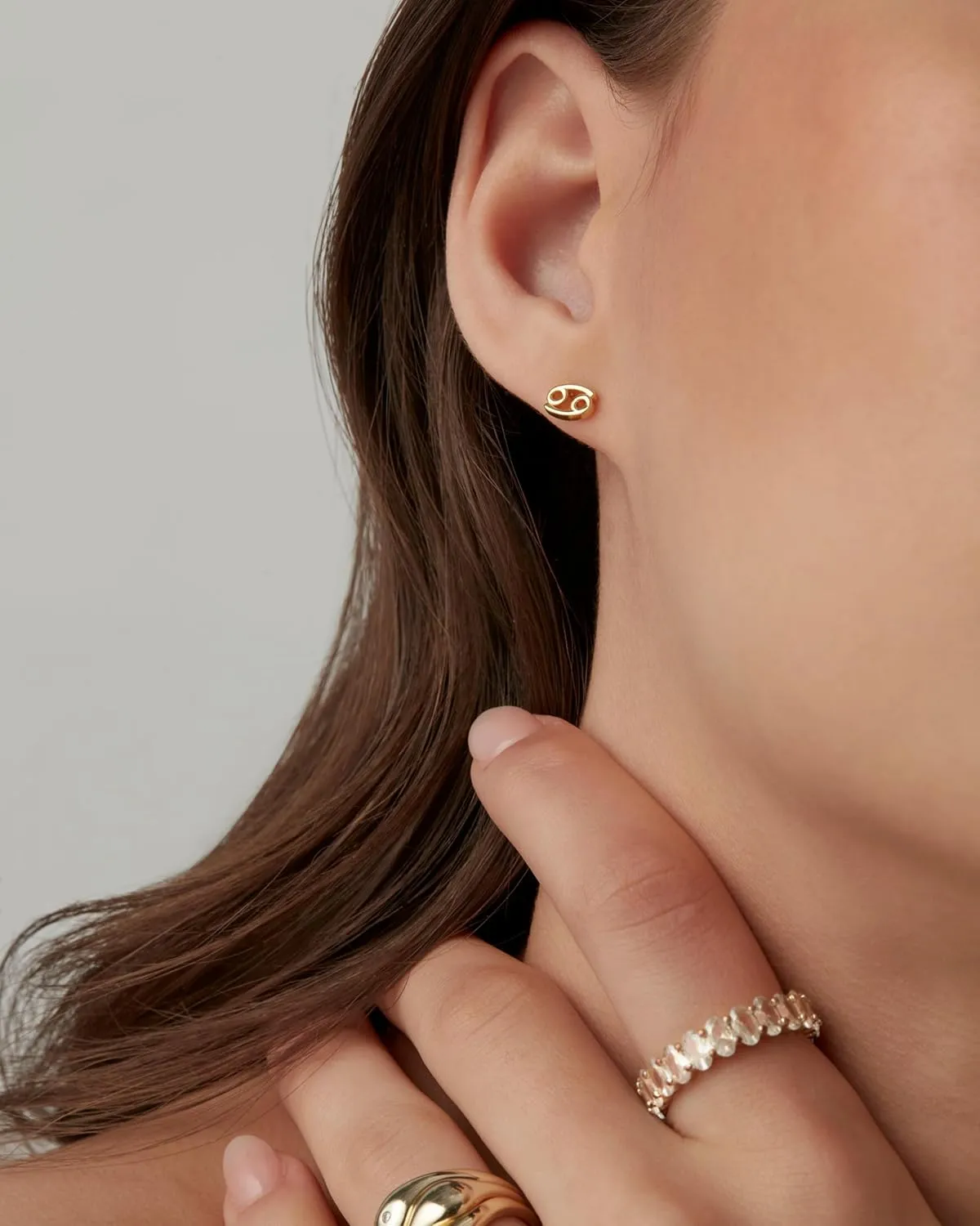 PAVOI 14K Gold Plated Sterling Silver Posts Zodiac Sign Flat Back Earring Studs | Birthday Gift for Women | Astrology Earring Pair