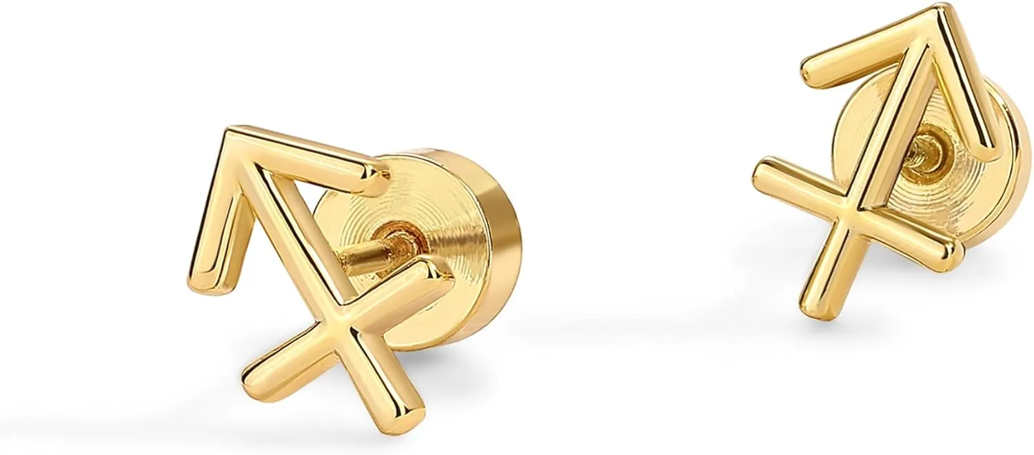 PAVOI 14K Gold Plated Sterling Silver Posts Zodiac Sign Flat Back Earring Studs | Birthday Gift for Women | Astrology Earring Pair