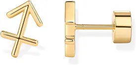 PAVOI 14K Gold Plated Sterling Silver Posts Zodiac Sign Flat Back Earring Studs | Birthday Gift for Women | Astrology Earring Pair