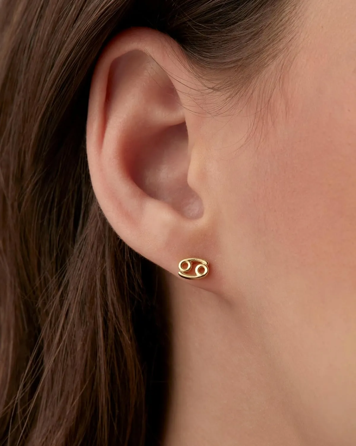 PAVOI 14K Gold Plated Sterling Silver Posts Zodiac Sign Flat Back Earring Studs | Birthday Gift for Women | Astrology Earring Pair