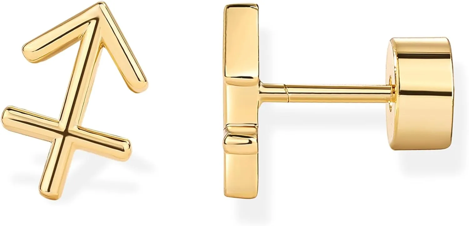 PAVOI 14K Gold Plated Sterling Silver Posts Zodiac Sign Flat Back Earring Studs | Birthday Gift for Women | Astrology Earring Pair